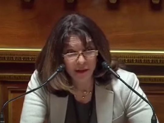 Французький сенатор Гуле під час дебатів підняла тему позасудових розправ з телеканалами в Україні
