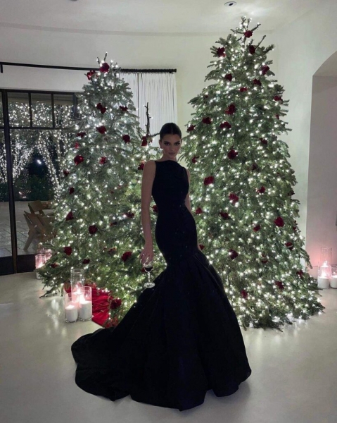 Кендалл Дженнер отметила Рождество в роскошном платье от Carolina Herrera