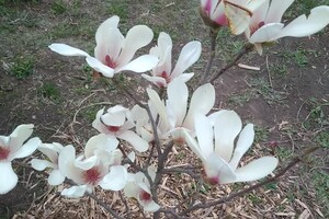 Концерт фолк-группы и шоу мыльных пузырей: куда пойти в Одессе на этих выходных