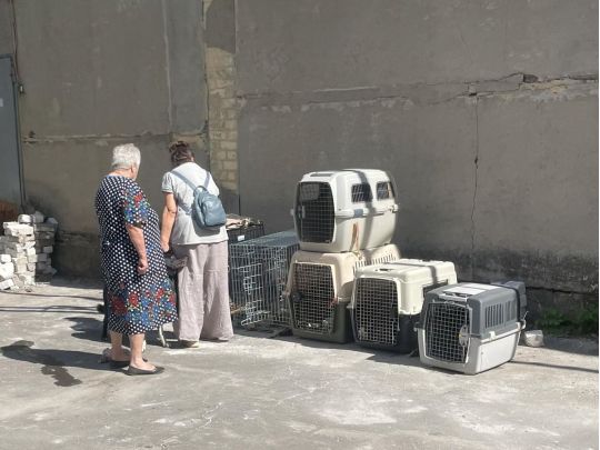 На&nbsp;Вінниччині своя реальність: переселенок з-під Покровська з&nbsp;тваринами виганяють із&nbsp;села