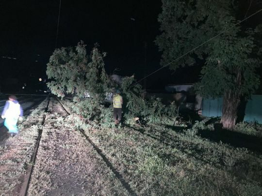 Потужний буревій обрушився на&nbsp;Харківщину, є&nbsp;постраждалі (фото, відео)