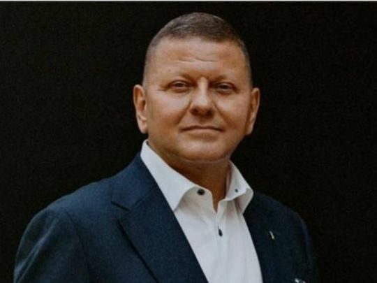 &laquo;Страх перед Залужним сильніший, ніж сам Залужний&raquo;,&nbsp;&mdash; волонтер Сапронов