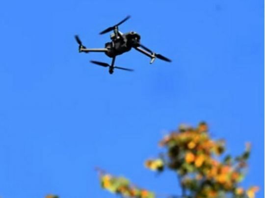 Нічна тривога в&nbsp;Бельгії: 15 дронів зафіксували над військовою базою