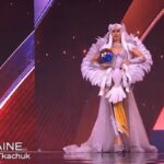 Половину зняти: мережа відреагувала на костюм учасниці «Міс Всесвіт»