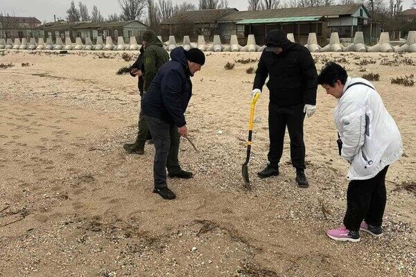 В Одесской области обнаружили загрязнение побережья: где именно и чем
