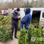 В Одессе проверяют елочные базары: полиция контролирует законность продаж хвойных деревьев