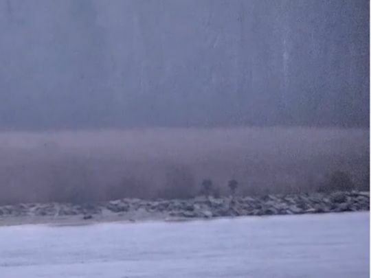 Кордон на&nbsp;замку? Російські прикордонники без проблем проникли на&nbsp;територію Естонії (фото, відео)