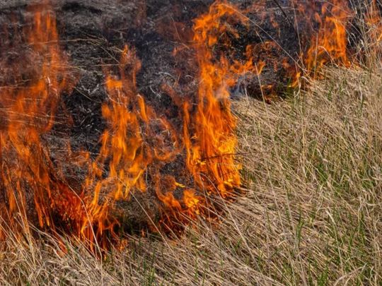 Штрафи до&nbsp;20 тисяч: за&nbsp;що&nbsp;штрафують українців і&nbsp;як&nbsp;цього уникнути