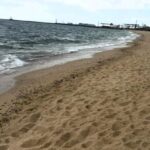 В Одесском районе обнаружили загрязнение моря: что говорят экологи
